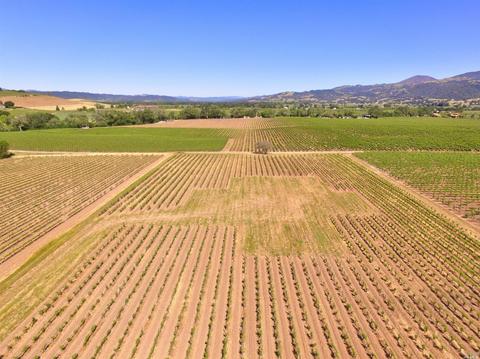 4795 E Soda Rock Ln E, Healdsburg, CA 95448 photo 5