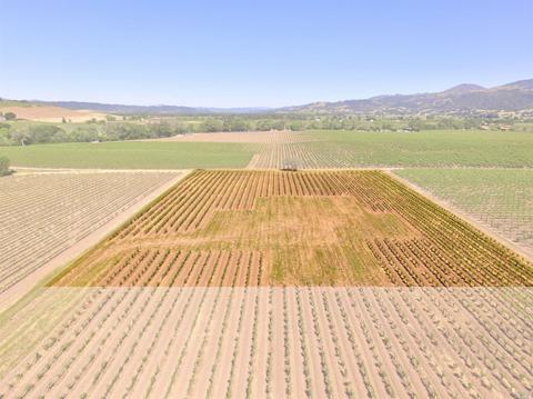 4795 E Soda Rock Ln E, Healdsburg, CA 95448 photo 38