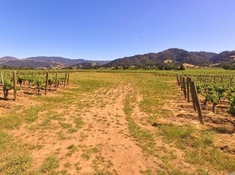 4795 E Soda Rock Ln E, Healdsburg, CA 95448 photo 20