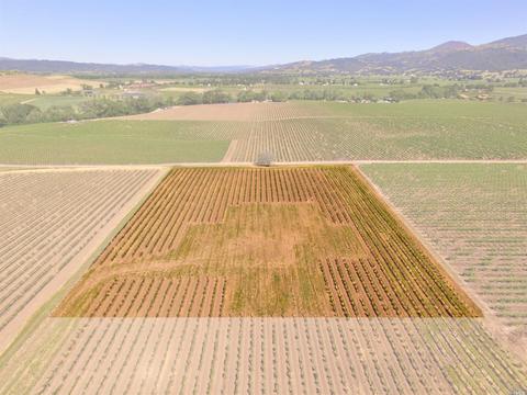 4795 E Soda Rock Ln E, Healdsburg, CA 95448 photo 29