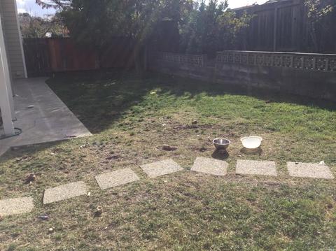 158 Sand Dollar Dr, Vallejo, CA 94591 photo 49
