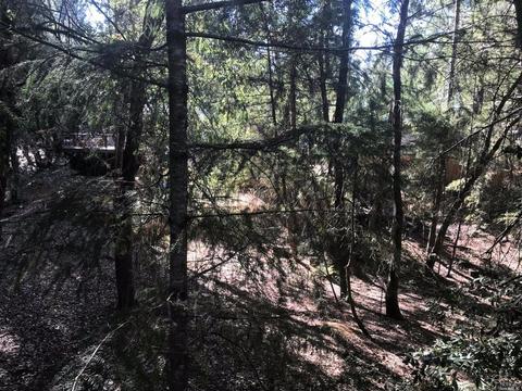 27200 Maize Dr, Willits, CA 95490 photo 21