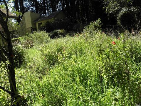 Undisclosed, Sebastopol, CA 95472 photo 9