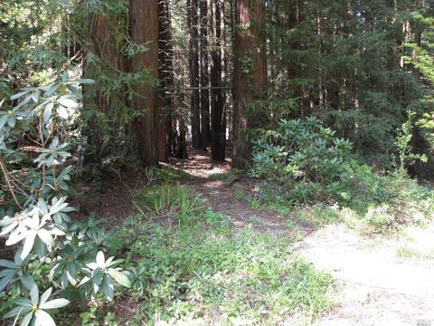 Undisclosed, Sebastopol, CA 95472 photo 8