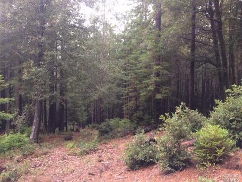 22142 Koftinow Dr, Timber Cove, CA 95450 photo 4