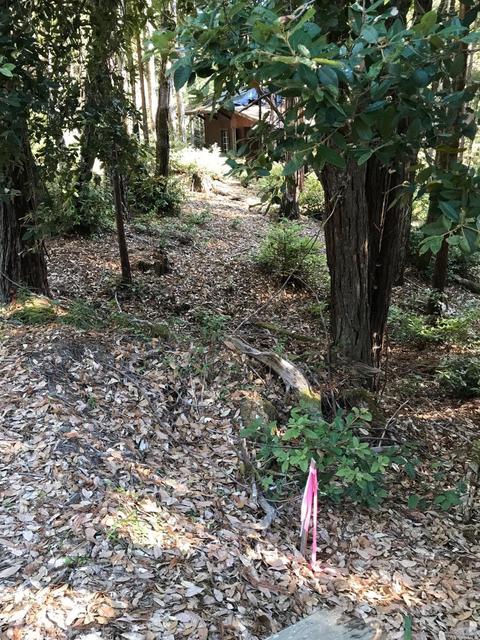 22142 Koftinow Dr, Timber Cove, CA 95450 photo 7