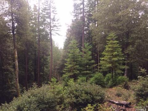 22142 Koftinow Dr, Timber Cove, CA 95450 photo 3