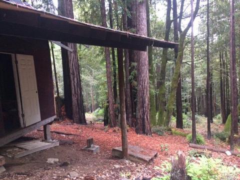 22142 Koftinow Dr, Timber Cove, CA 95450 photo 6