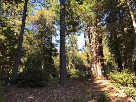 22142 Koftinow Dr, Timber Cove, CA 95450 photo 1