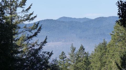 3900 Ridgewood Rd, Willits, CA 95490 photo 31