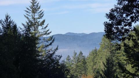 3900 Ridgewood Rd, Willits, CA 95490 photo 30