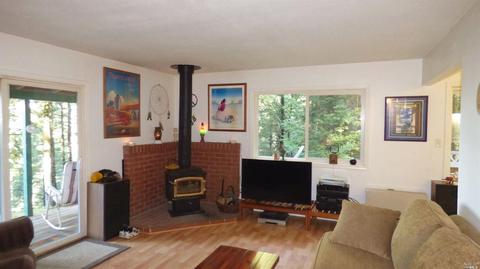 3900 Ridgewood Rd, Willits, CA 95490 photo 6