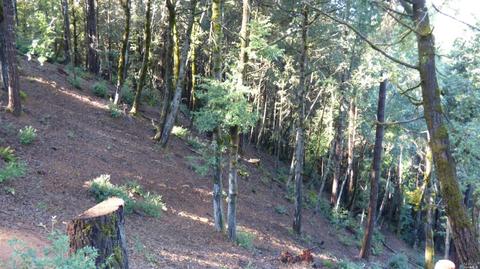 3900 Ridgewood Rd, Willits, CA 95490 photo 28