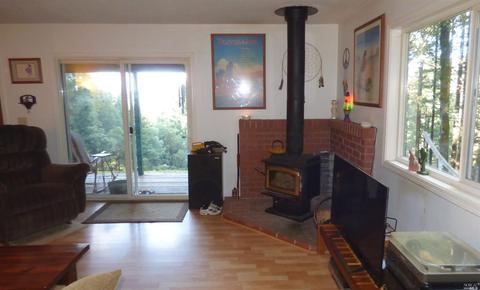 3900 Ridgewood Rd, Willits, CA 95490 photo 5