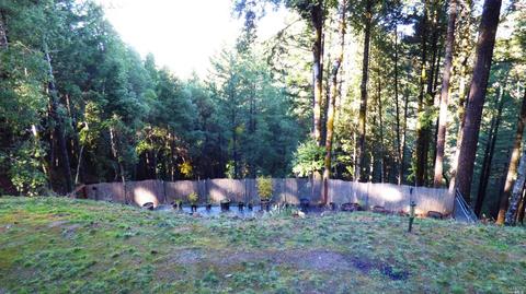 3900 Ridgewood Rd, Willits, CA 95490 photo 3