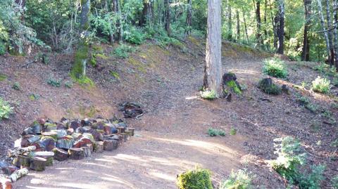 3900 Ridgewood Rd, Willits, CA 95490 photo 26
