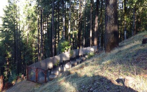 3900 Ridgewood Rd, Willits, CA 95490 photo 24