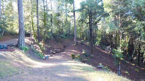 3900 Ridgewood Rd, Willits, CA 95490 photo 25