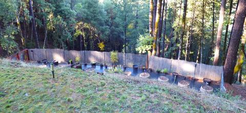 3900 Ridgewood Rd, Willits, CA 95490 photo 23