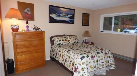 3900 Ridgewood Rd, Willits, CA 95490 photo 17