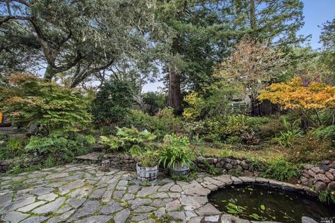 2 Cameron St, Inverness, CA 94937 photo 28
