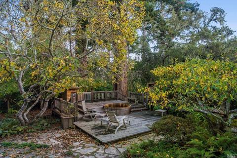 2 Cameron St, Inverness, CA 94937 photo 33