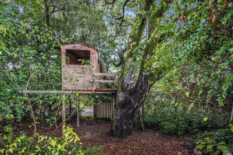2 Cameron St, Inverness, CA 94937 photo 34