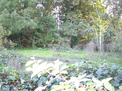Undisclosed, Vallejo, CA 94591 photo 19