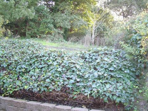 Undisclosed, Vallejo, CA 94591 photo 20