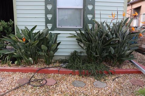 725 Humboldt St, Vallejo, CA 94591 photo 4