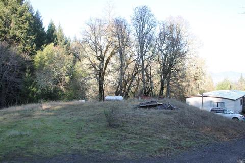 18300 Shafer Ranch Rd, Willits, CA 95490 photo 23