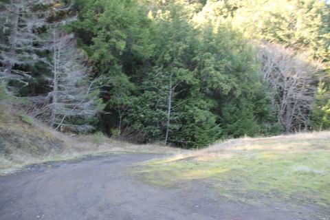18300 Shafer Ranch Rd, Willits, CA 95490 photo 25