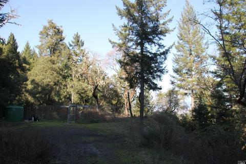 18300 Shafer Ranch Rd, Willits, CA 95490 photo 28