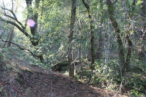 18300 Shafer Ranch Rd, Willits, CA 95490 photo 15