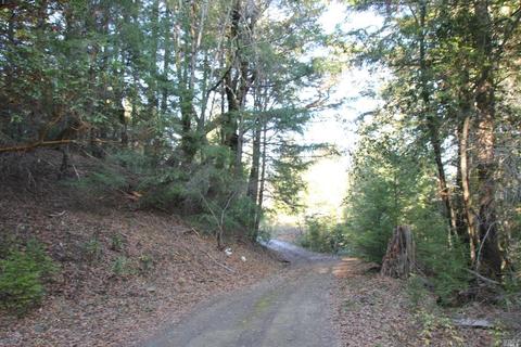 18300 Shafer Ranch Rd, Willits, CA 95490 photo 21