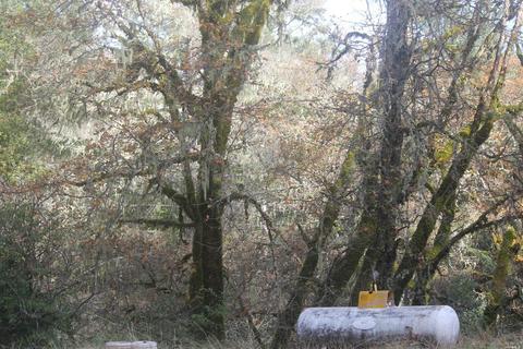 18300 Shafer Ranch Rd, Willits, CA 95490 photo 11