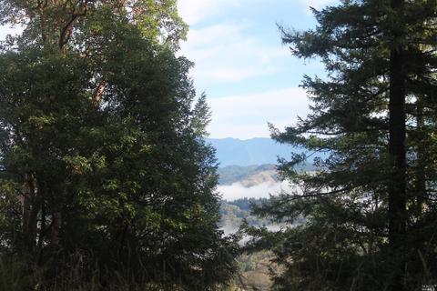 18300 Shafer Ranch Rd, Willits, CA 95490 photo 2