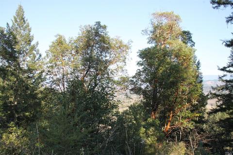 18300 Shafer Ranch Rd, Willits, CA 95490 photo 31