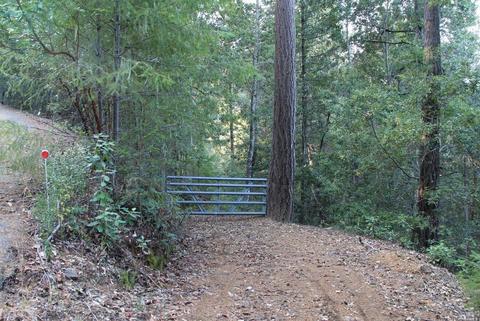 18300 Shafer Ranch Rd, Willits, CA 95490 photo 40