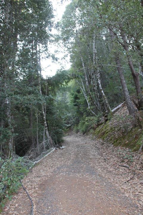 18300 Shafer Ranch Rd, Willits, CA 95490 photo 38