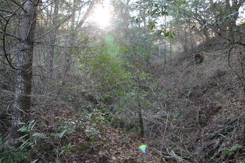 18300 Shafer Ranch Rd, Willits, CA 95490 photo 14