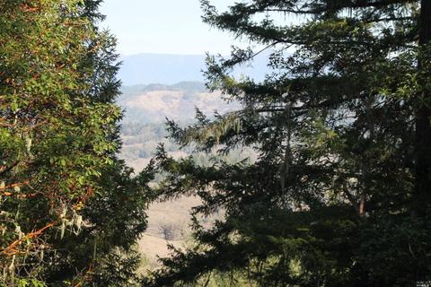 18300 Shafer Ranch Rd, Willits, CA 95490 photo 32