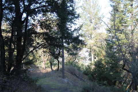 18300 Shafer Ranch Rd, Willits, CA 95490 photo 34