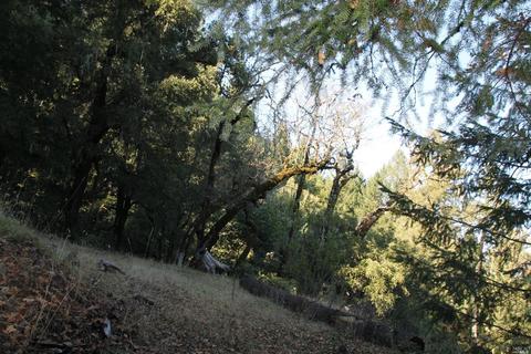18300 Shafer Ranch Rd, Willits, CA 95490 photo 35