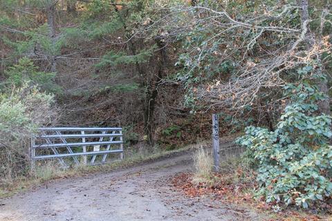 18300 Shafer Ranch Rd, Willits, CA 95490 photo 39