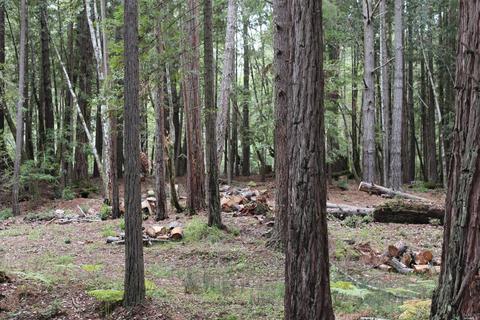 22090 Timber Cove Rd, Jenner, CA 95450 photo 9