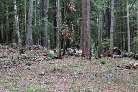 22090 Timber Cove Rd, Jenner, CA 95450 photo 10