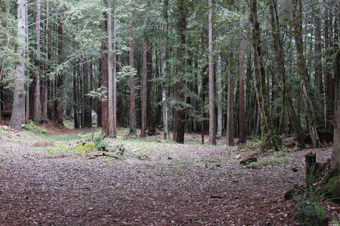 22090 Timber Cove Rd, Jenner, CA 95450 photo 3