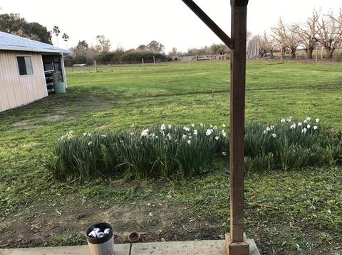 Undisclosed, Vacaville, CA 95687 photo 11