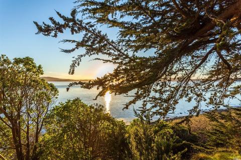 529 Smith Brothers Rd, Bodega Bay, CA 94923 photo 28